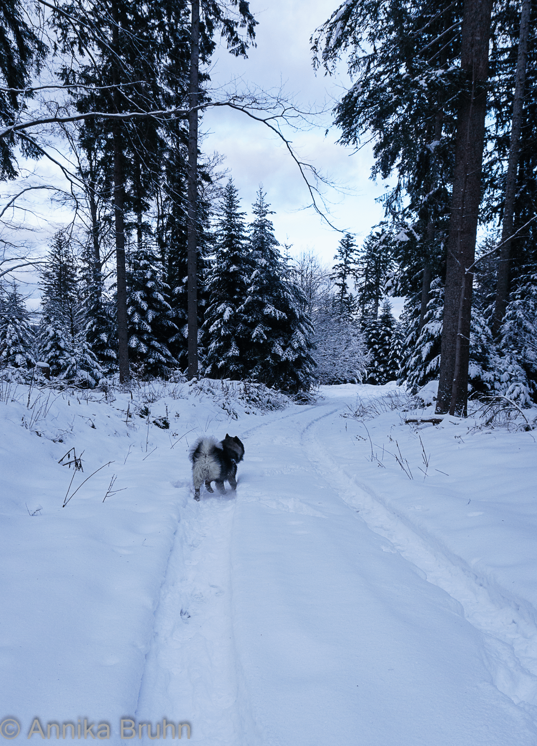Ich kenn den Weg nach Hause